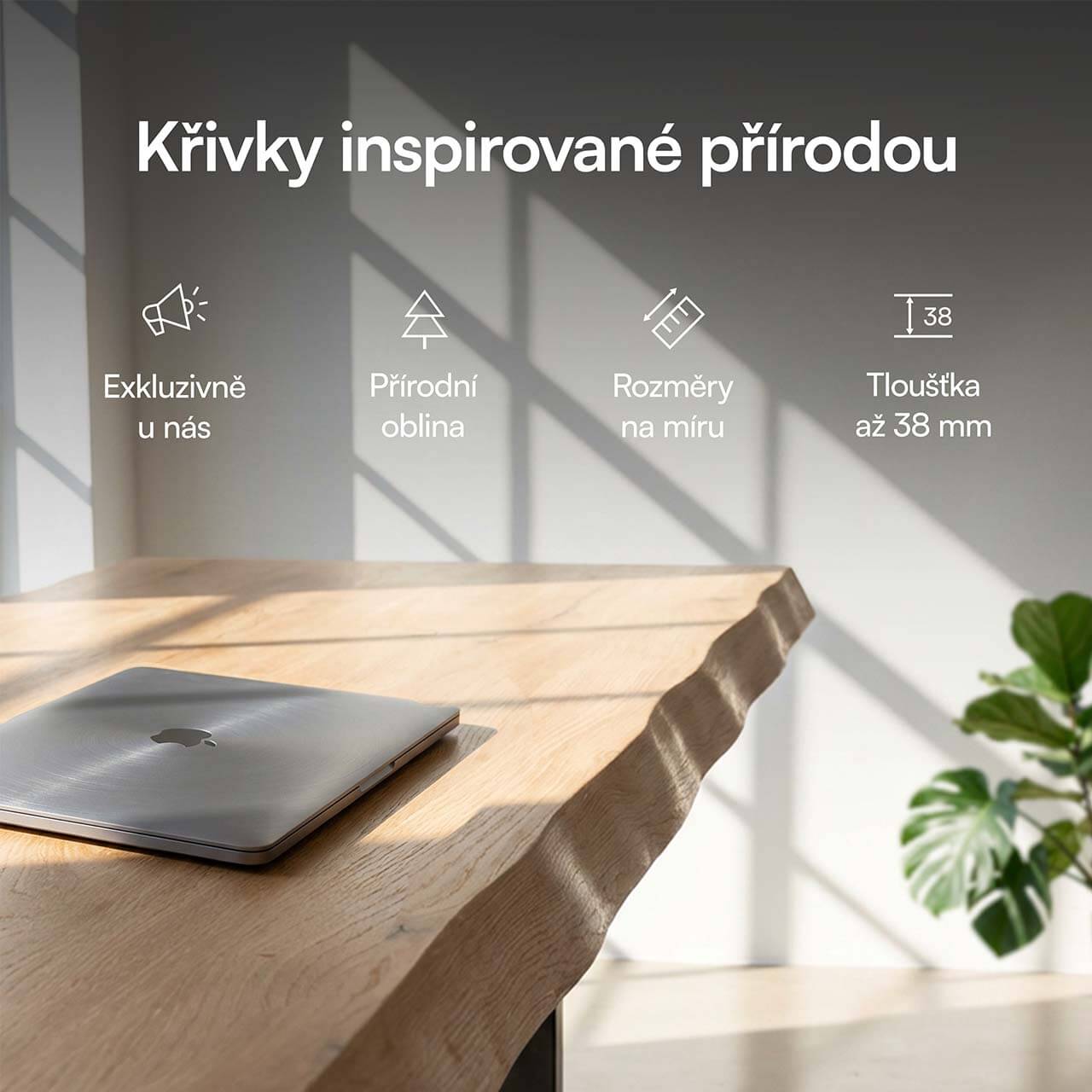 foto64.jpg